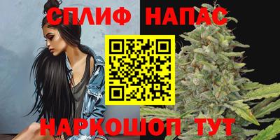 гидра Краснодар