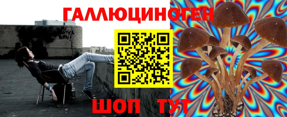 Галлюциногенные грибы ЛСД  Вход с VPN  Кинель 
